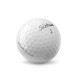 Titleist Pro V1 Logo Golf Balls / Dozen 